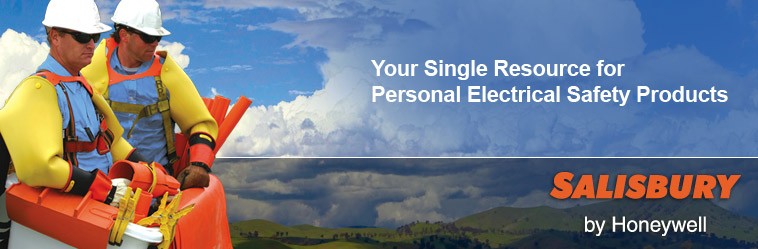 美國Salisbury 美國Salisbury